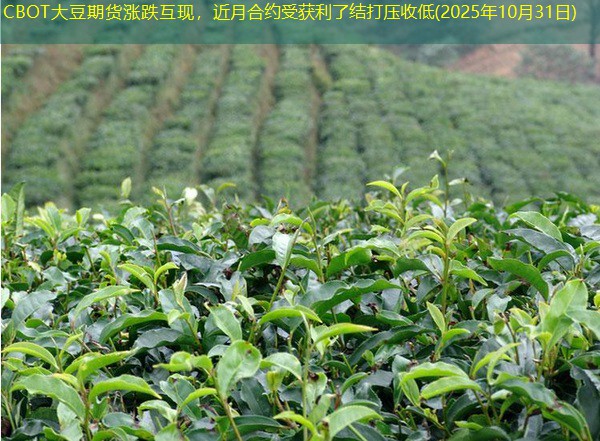 CBOT大豆期货涨跌互现，近月合约受获利了结打压收低(2025年10月31日)