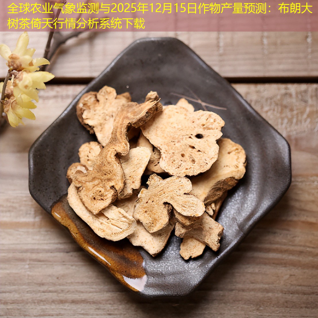 全球农业气象监测与2025年12月15日作物产量预测