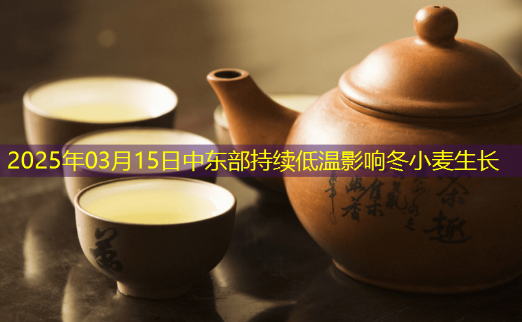 2025年03月15日中东部持续低温影响冬小麦生长