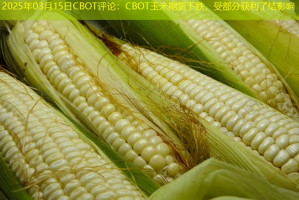 2025年03月15日CBOT评论：CBOT玉米期货下跌，受部分获利了结影响