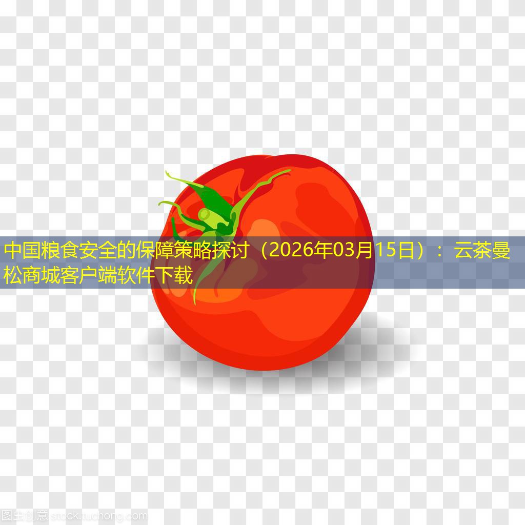 中国粮食安全的保障策略探讨（2026年03月15日）