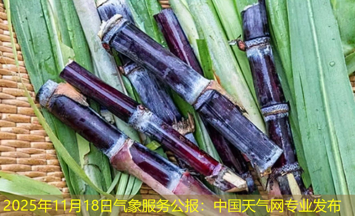 2025年11月18日气象服务公报：中国天气网专业发布