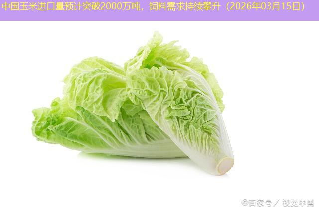 中国玉米进口量预计突破2000万吨，饲料需求持续攀升（2026年03月15日）