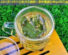 2025年12月31日前河北强筋小麦种植面积将达400万亩