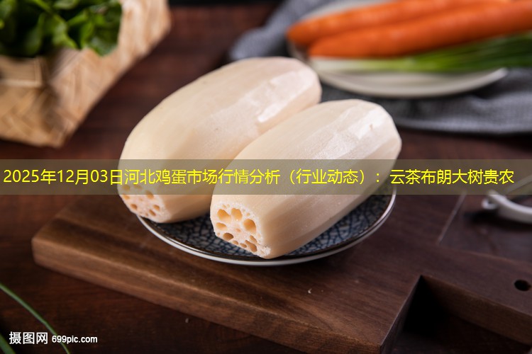 2025年12月03日河北鸡蛋市场行情分析（行业动态）