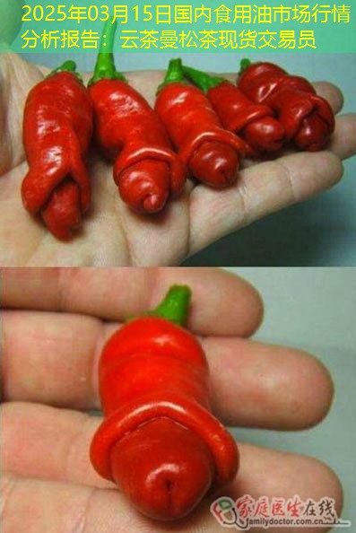 2025年03月15日国内食用油市场行情分析报告