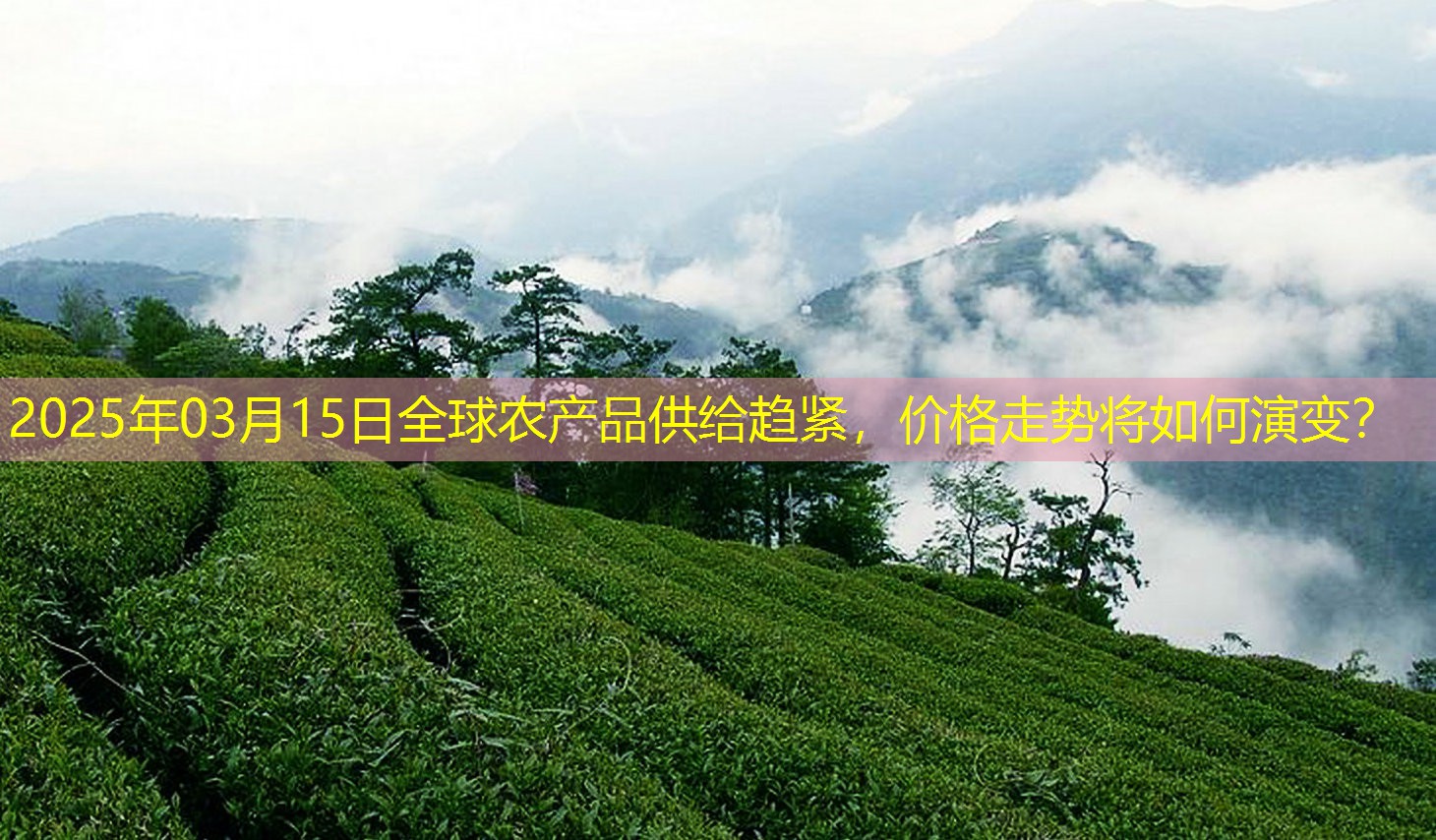 2025年03月15日全球农产品供给趋紧，价格走势将如何演变？