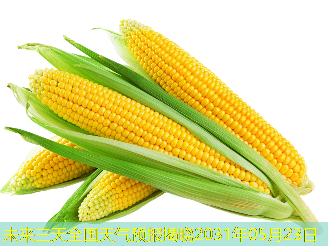 未来三天全国天气预报揭晓2031年05月23日