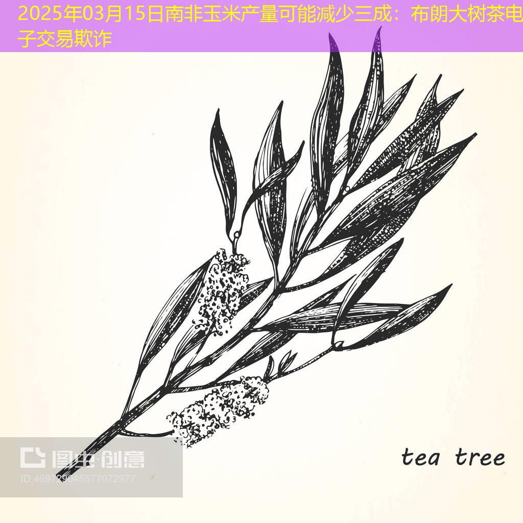 2025年03月15日南非玉米产量可能减少三成