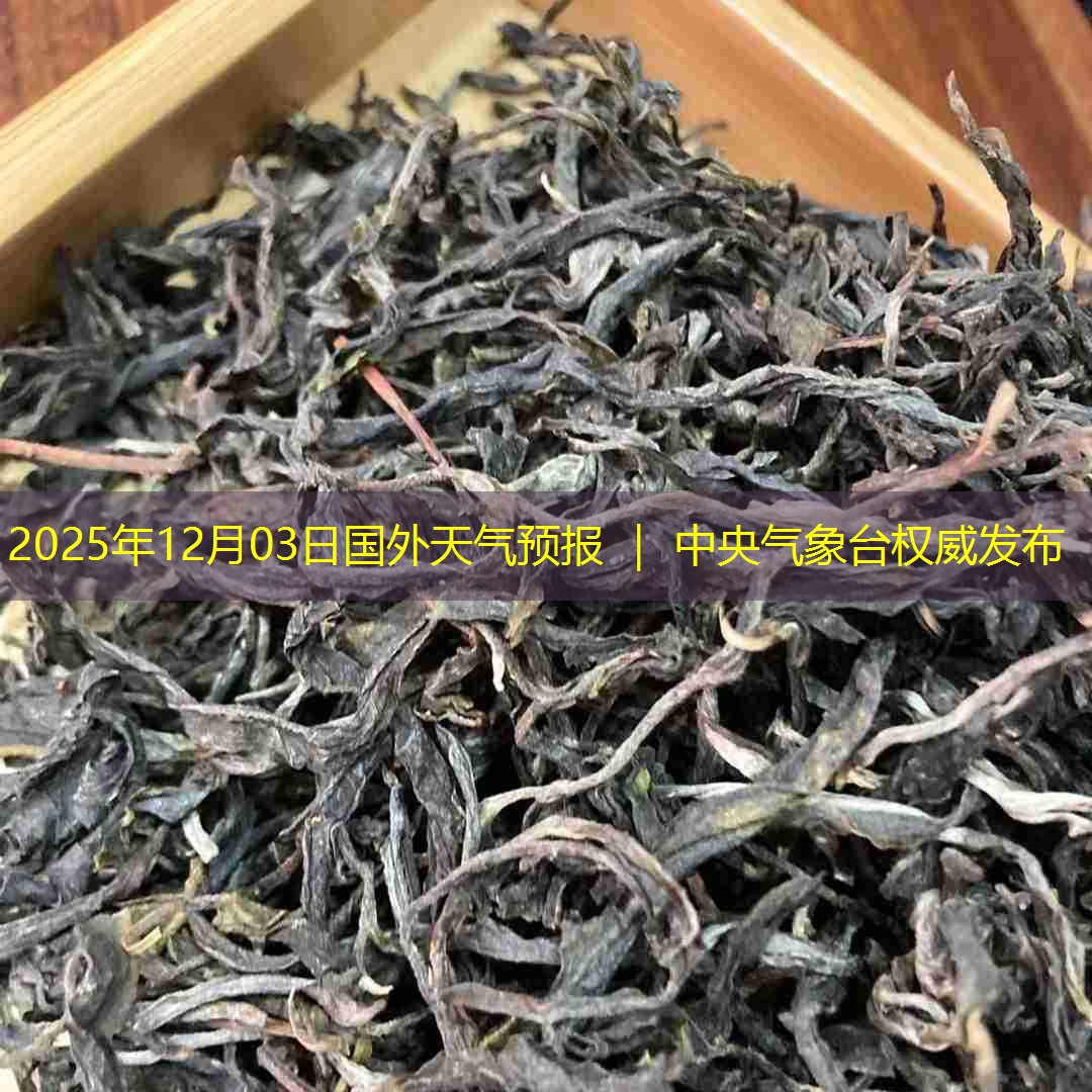 2025年12月03日国外天气预报 ｜ 中央气象台权威发布