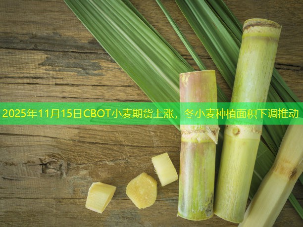 2025年11月15日CBOT小麦期货上涨，冬小麦种植面积下调推动
