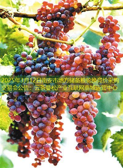 2025年3月12日南安市地方储备粮轮换竞价采购交易会公告