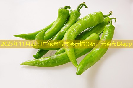 2025年11月23日广东鸡蛋市场行情分析