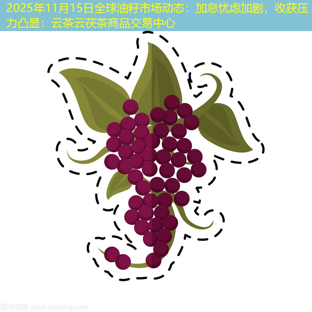 2025年11月15日全球油籽市场动态：加息忧虑加剧，收获压力凸显