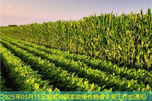 2025年03月15日起暂停国家政策性粮食交易工作的通知