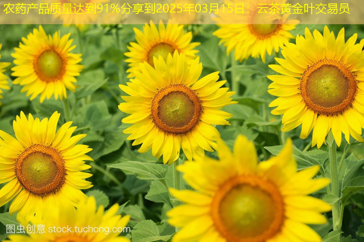 农药产品质量达到91%分享到2025年03月15日