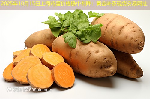 2025年10月15日上海鸡蛋价格稳中有降