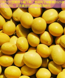 CBOT大豆期货小幅下跌，受获利了结影响2025年12月08日