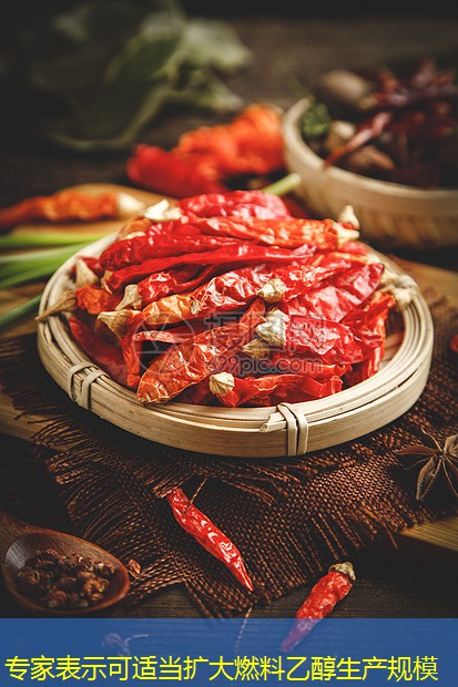 专家表示可适当扩大燃料乙醇生产规模