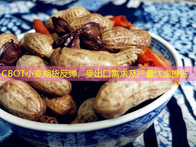 CBOT小麦期货反弹，受出口需求及产量忧虑提振