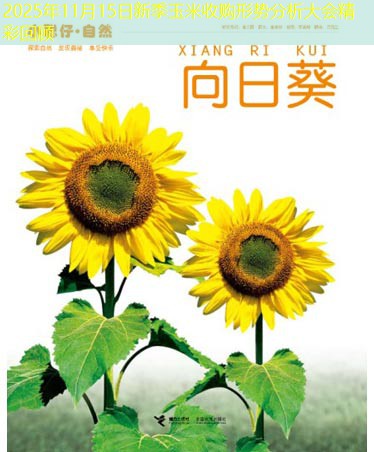 2025年11月15日新季玉米收购形势分析大会精彩回顾