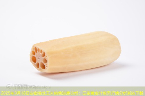 2025年3月18日安徽淮北玉米销售进度分析