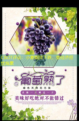 CBOT评论：小麦期货下跌，受经济担忧拖累