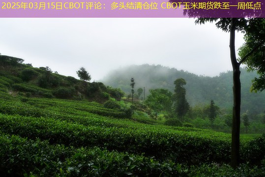 2025年03月15日CBOT评论：多头结清仓位 CBOT玉米期货跌至一周低点