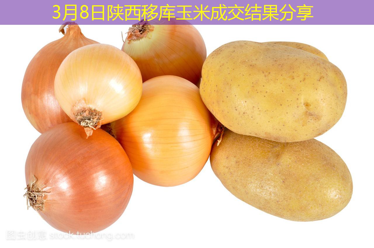 3月8日陕西移库玉米成交结果分享