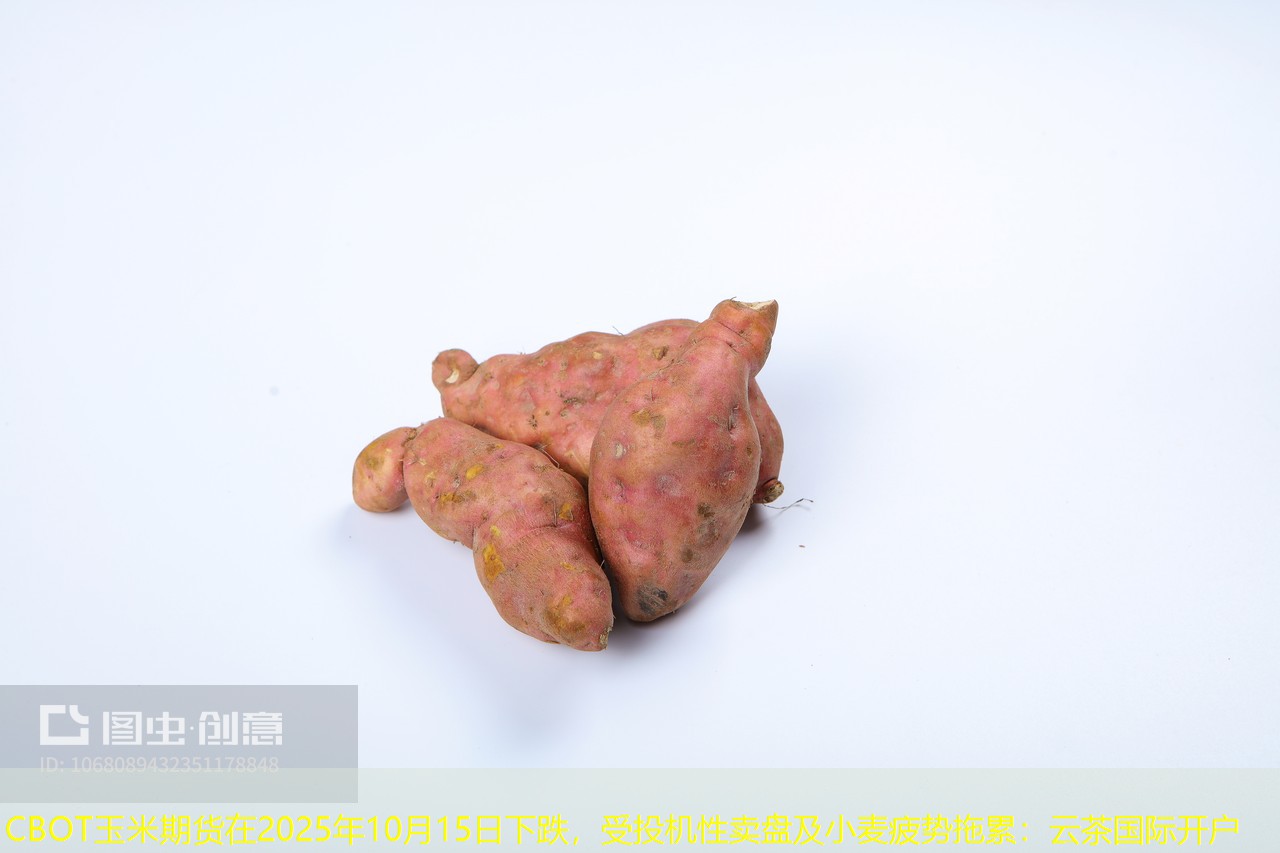 CBOT玉米期货在2025年10月15日下跌，受投机性卖盘及小麦疲势拖累