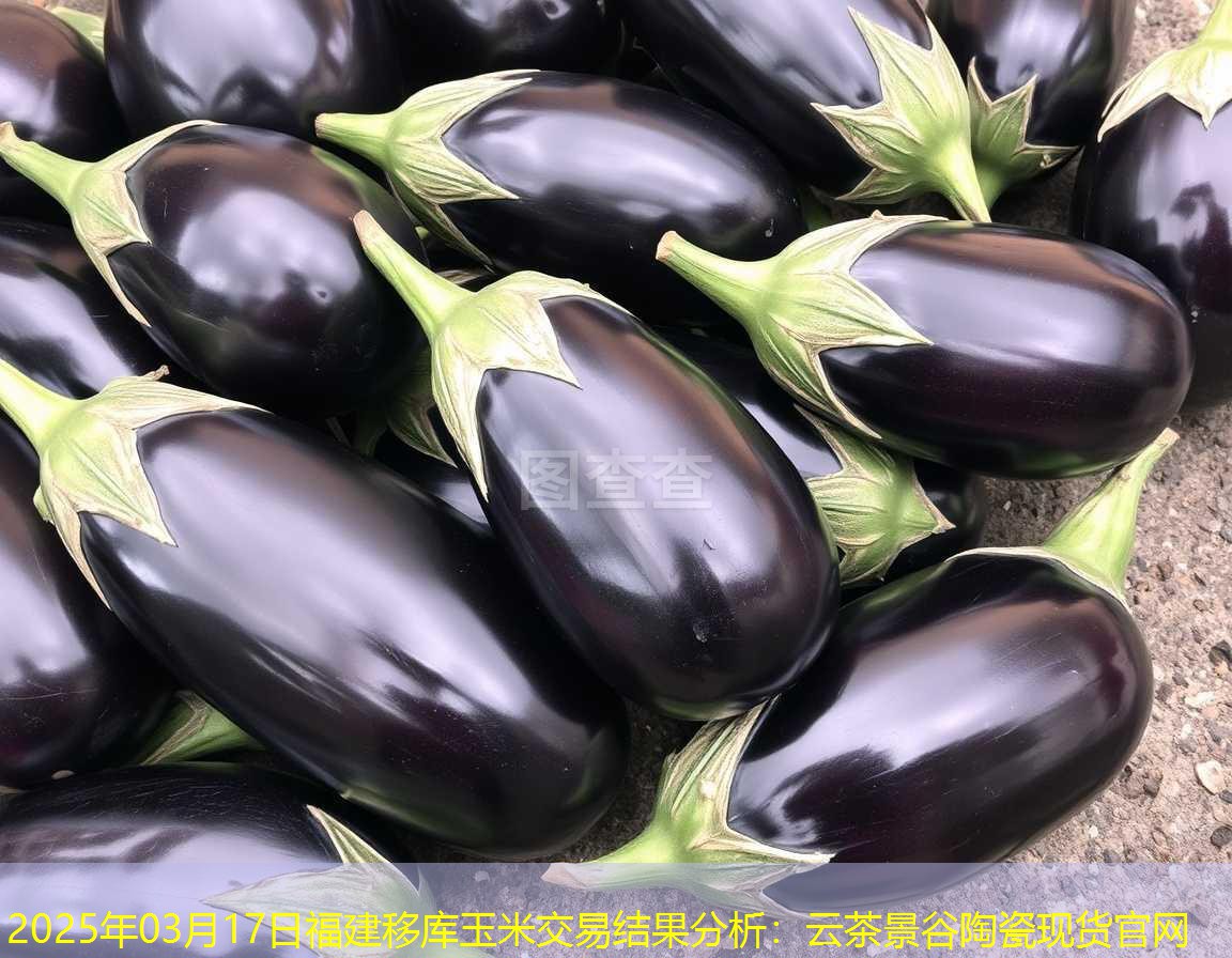 2025年03月17日福建移库玉米交易结果分析