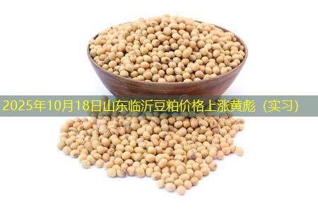 2025年10月18日山东临沂豆粕价格上涨黄彪（实习）