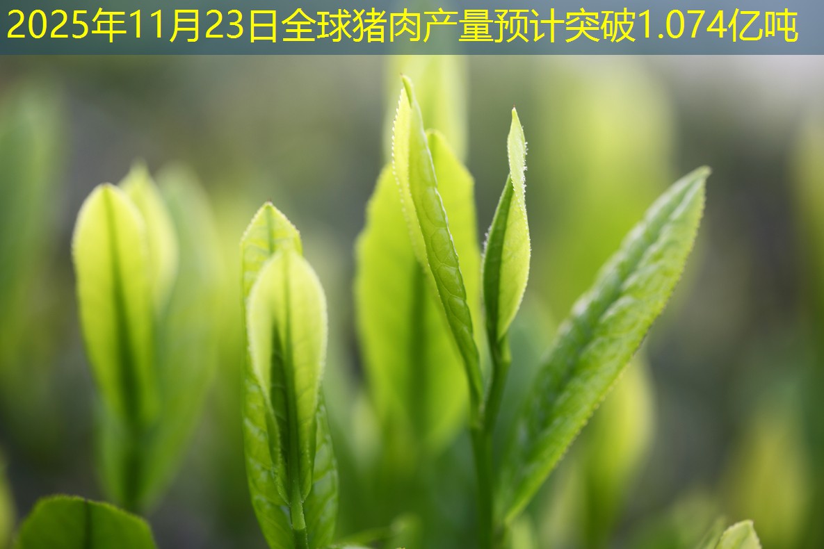 2025年11月23日全球猪肉产量预计突破1.074亿吨