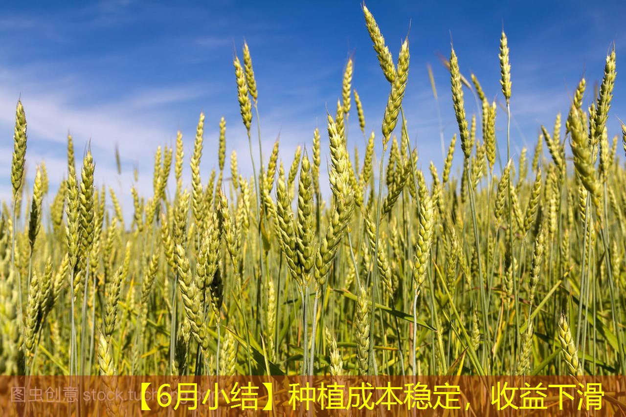 【6月小结】种植成本稳定，收益下滑