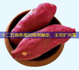 十二五商务规划框架敲定，主攻扩内需