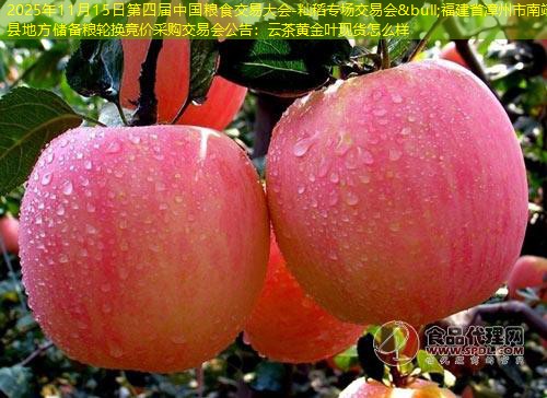 2025年11月15日第四届中国粮食交易大会-籼稻专场交易会&bull;福建省漳州市南靖县地方储备粮轮换竞价采购交易会公告