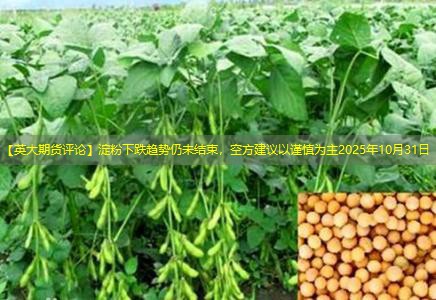 【英大期货评论】淀粉下跌趋势仍未结束，空方建议以谨慎为主2025年10月31日