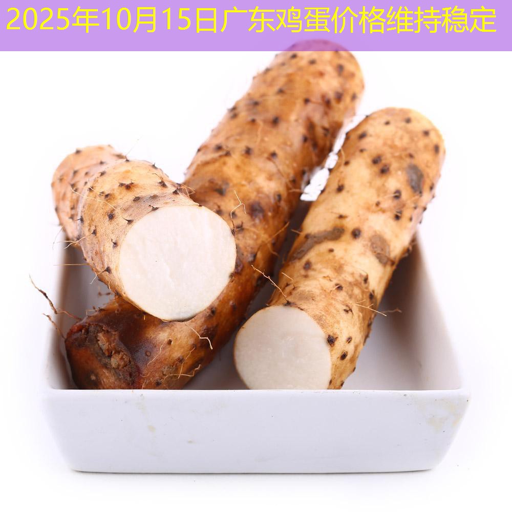 2025年10月15日广东鸡蛋价格维持稳定