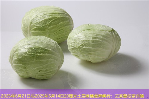 2025年6月21日与2025年5月14日20厘米土层墒情差异解析