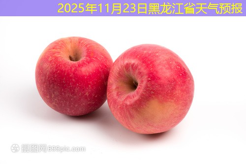 2025年11月23日黑龙江省天气预报