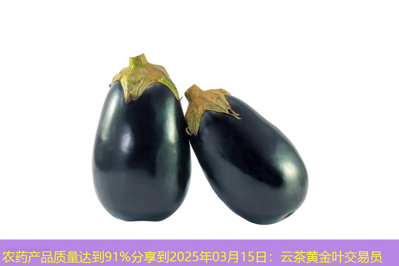 农药产品质量达到91%分享到2025年03月15日