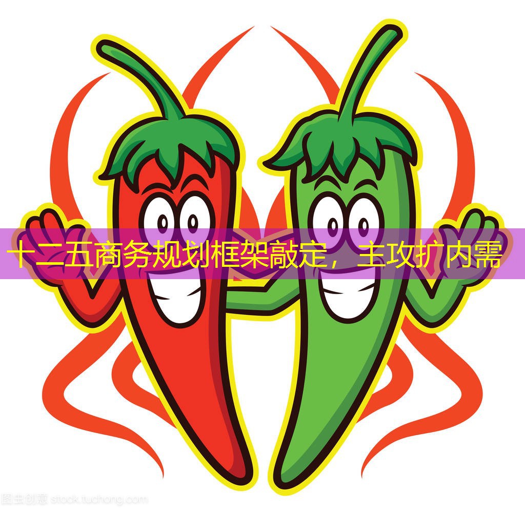 十二五商务规划框架敲定，主攻扩内需