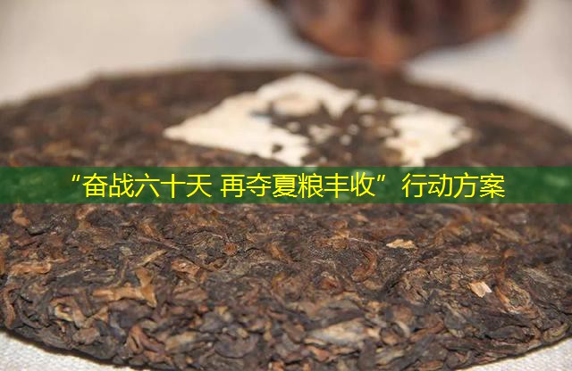 “奋战六十天 再夺夏粮丰收”行动方案