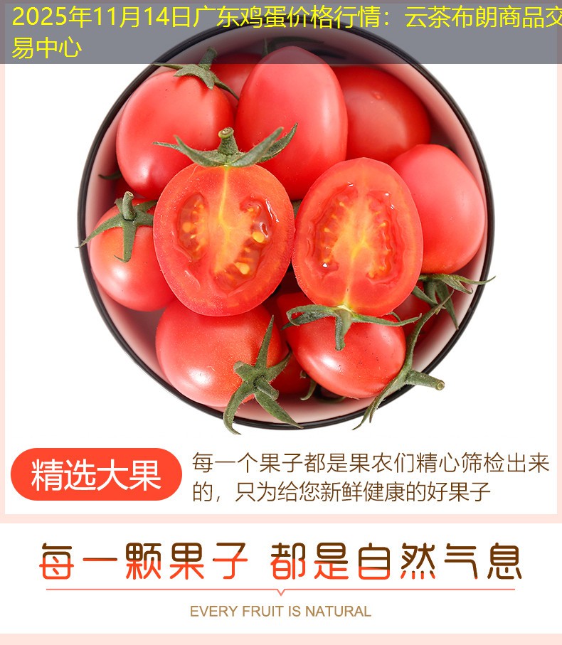 2025年11月14日广东鸡蛋价格行情