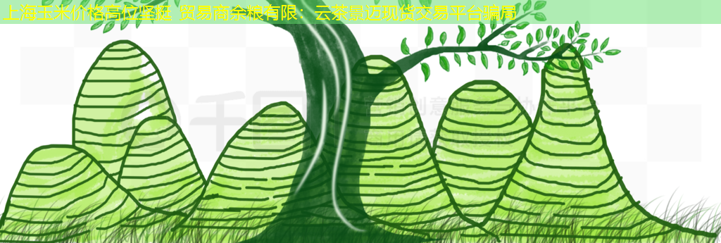 上海玉米价格高位坚挺 贸易商余粮有限