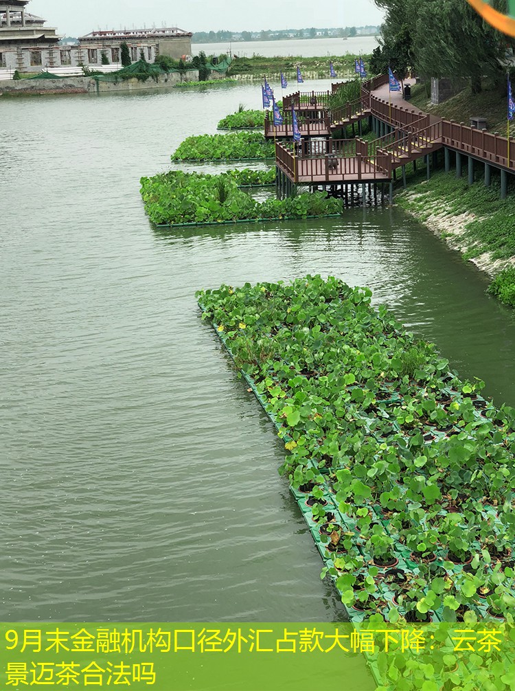 9月末金融机构口径外汇占款大幅下降