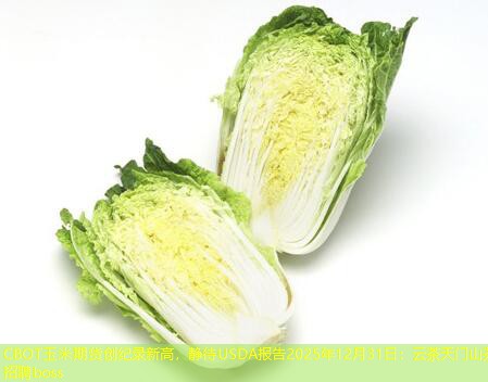 CBOT玉米期货创纪录新高，静待USDA报告2025年12月31日