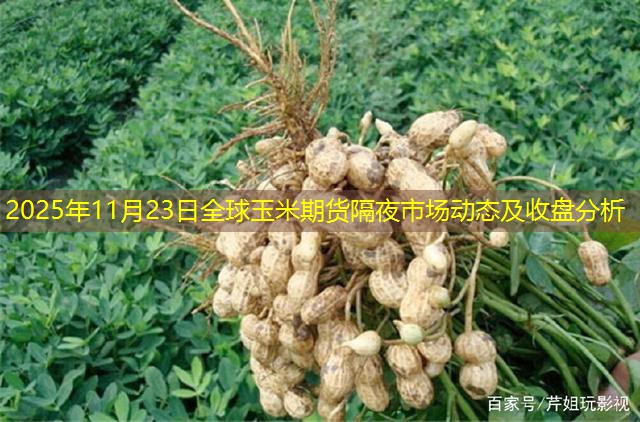 2025年11月23日全球玉米期货隔夜市场动态及收盘分析