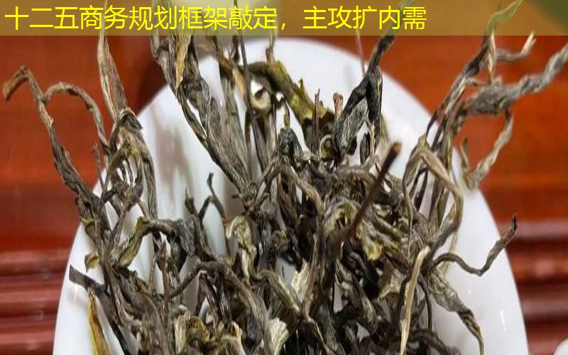 十二五商务规划框架敲定，主攻扩内需