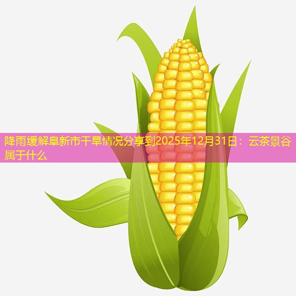 降雨缓解阜新市干旱情况分享到2025年12月31日